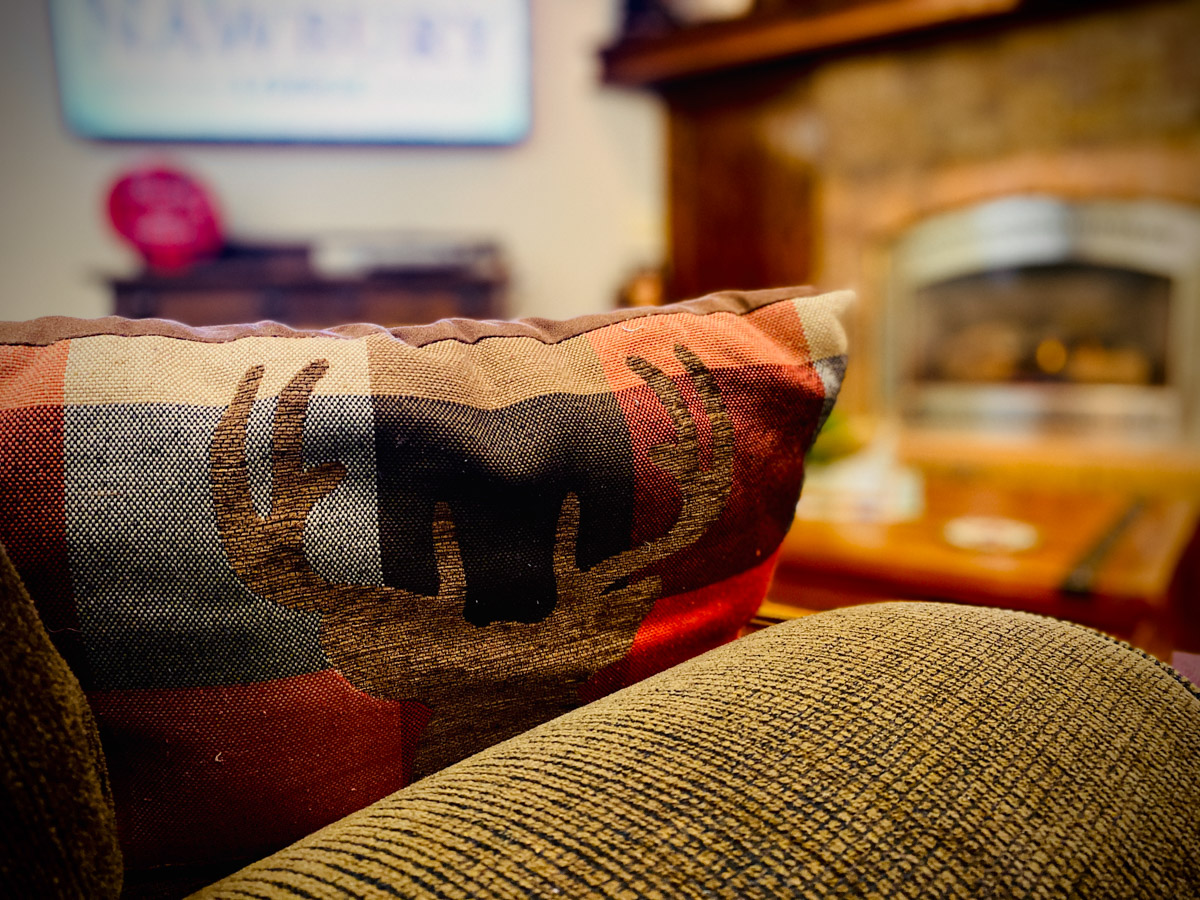 Guest Accommodations